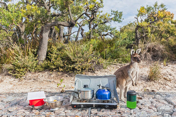 How to Stay Safe Around Wildlife While Camping in Australia